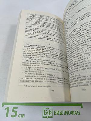 Разин Степан