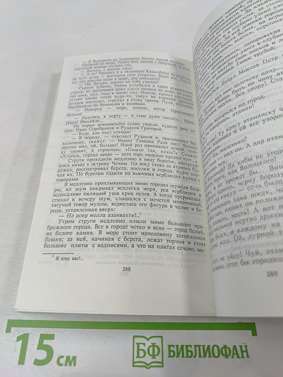 Разин Степан