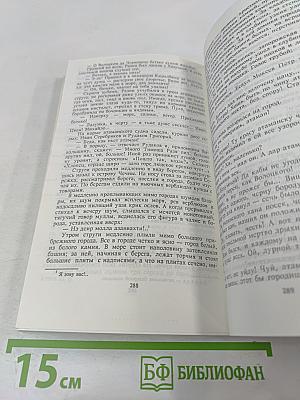 Разин Степан