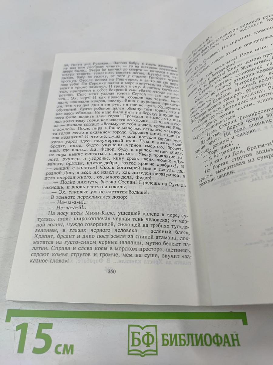 Разин Степан