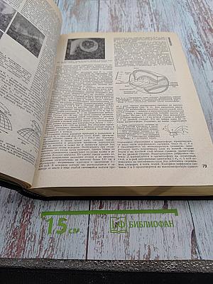 Физическая энциклопедия, том 4 (поинтинга – робертсона стримеры)