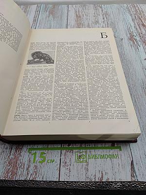 Большая Советская Энциклопедия, Том 3