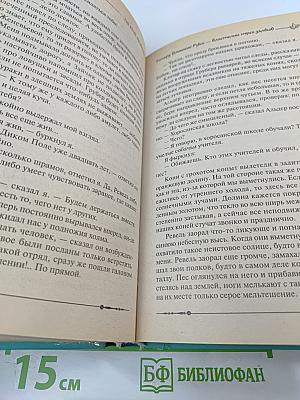 Ричард Длинные Руки — властелин трех замков