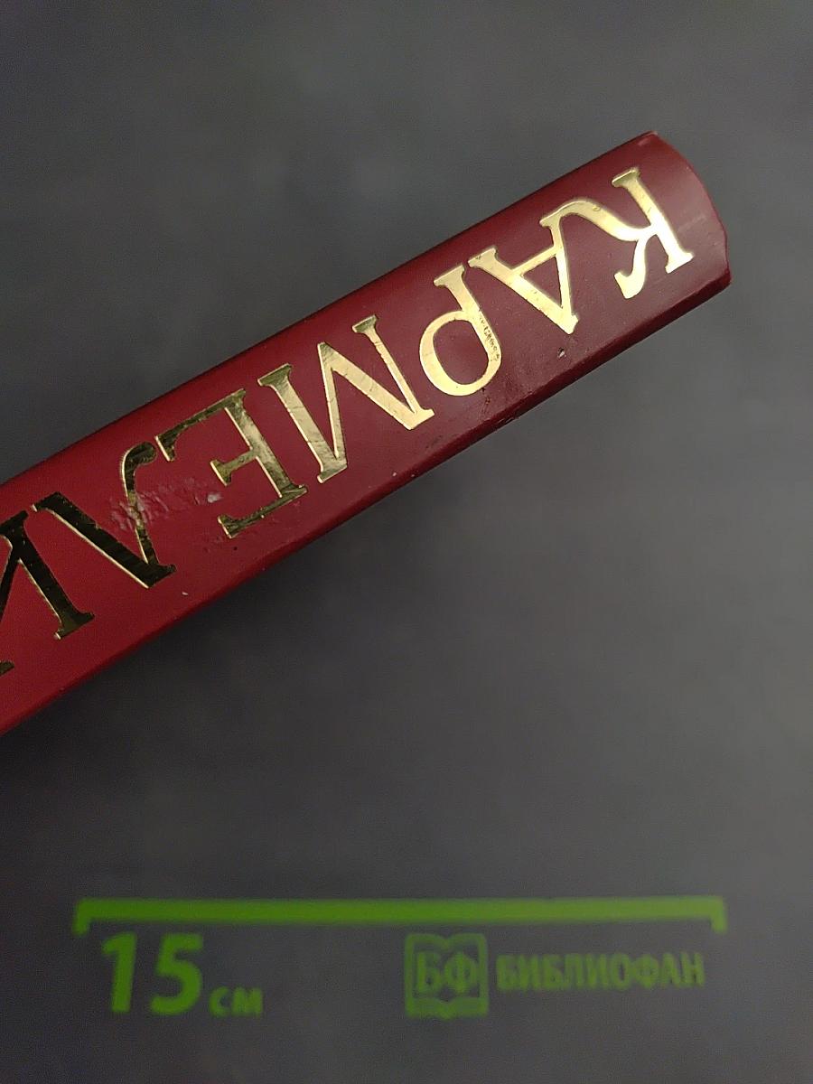 Кармелита. Роковая любовь