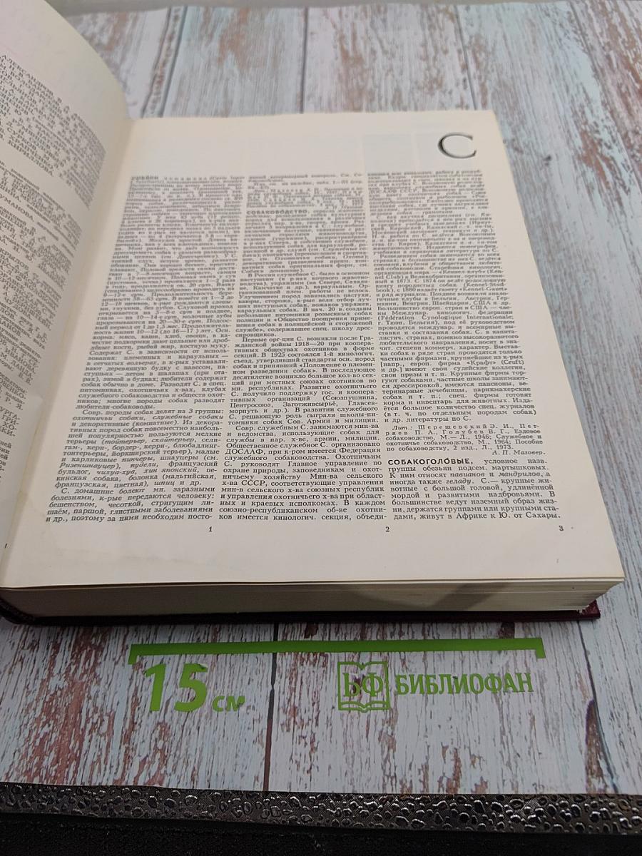 Большая Советская Энциклопедия. Том 24. Книга I: Собаки – Струна