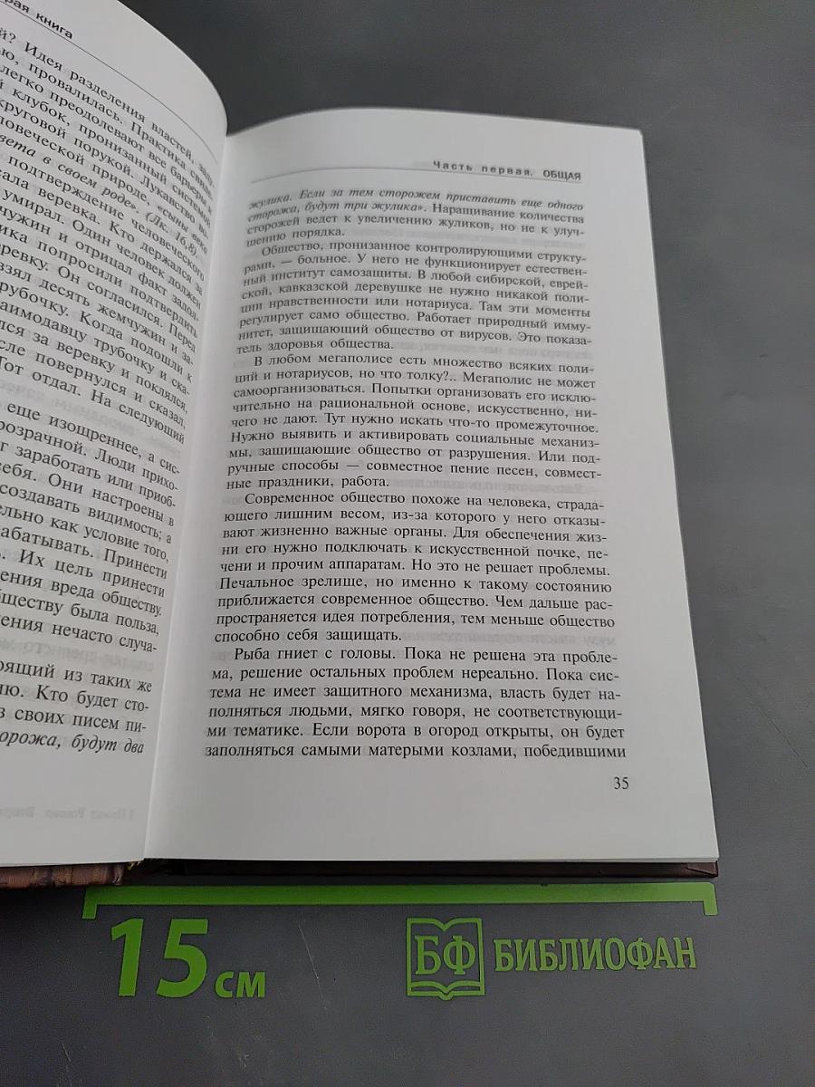 Проект Россия. Выбор пути. Вторая книга