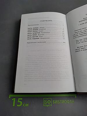 Проект Россия. Выбор пути. Вторая книга