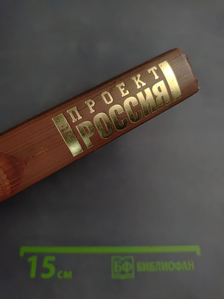 Проект Россия. Выбор пути. Вторая книга