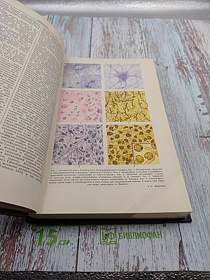 Большая медицинская энциклопедия. Том 20. Натечник - Новомигрофен