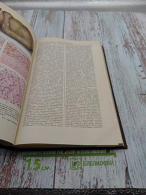 Большая медицинская энциклопедия. Том 16: Лимфоэпителиома - Медиастинотомия