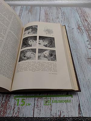 Большая медицинская энциклопедия. Том 16: Лимфоэпителиома - Медиастинотомия