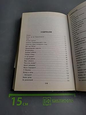 Майор Вихрь