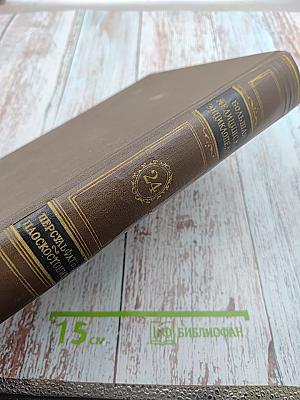 Большая медицинская энциклопедия. Том 24: Персульфаты - Плоскостопие