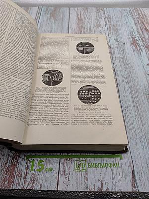 Большая медицинская энциклопедия. Том 3: Б-Боголепова