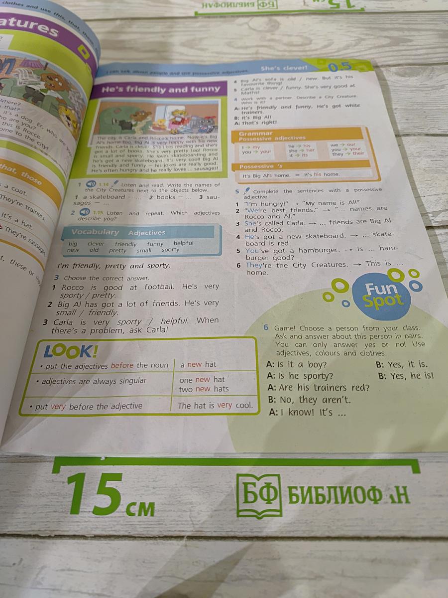 Team Up! Английский язык. 5 класс. Часть 1