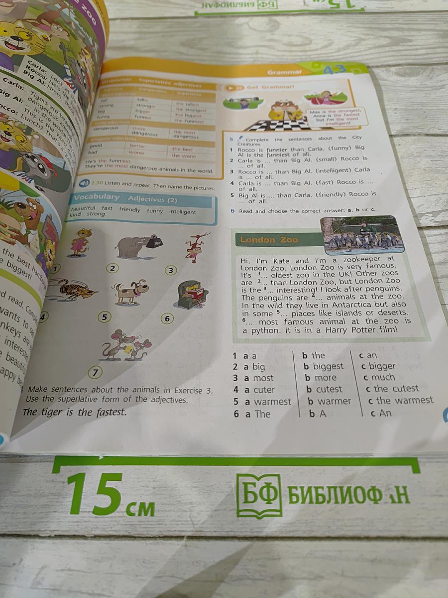 Team Up! Английский язык. 5 класс. Часть 1