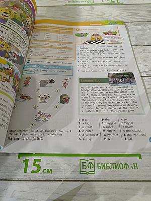 Team Up! Английский язык. 5 класс. Часть 1