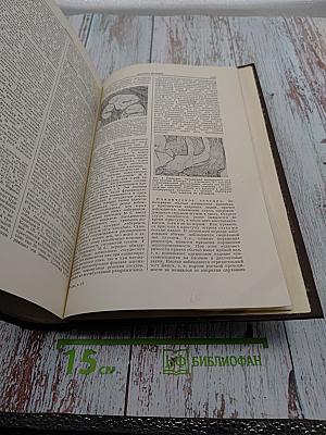 Большая медицинская энциклопедия. Том 17. Медиаторы - Мерпанит