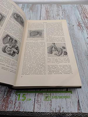 Большая медицинская энциклопедия. Том 10: Желтуха - Иващенцов