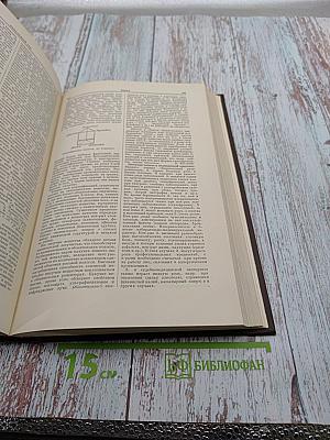 Большая медицинская энциклопедия. Том 10: Желтуха - Иващенцов