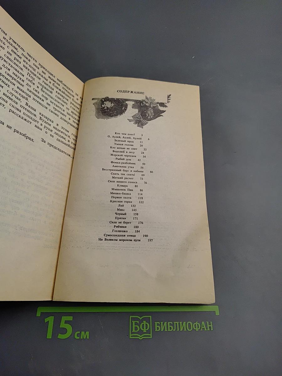 Кувырк и другие рассказы