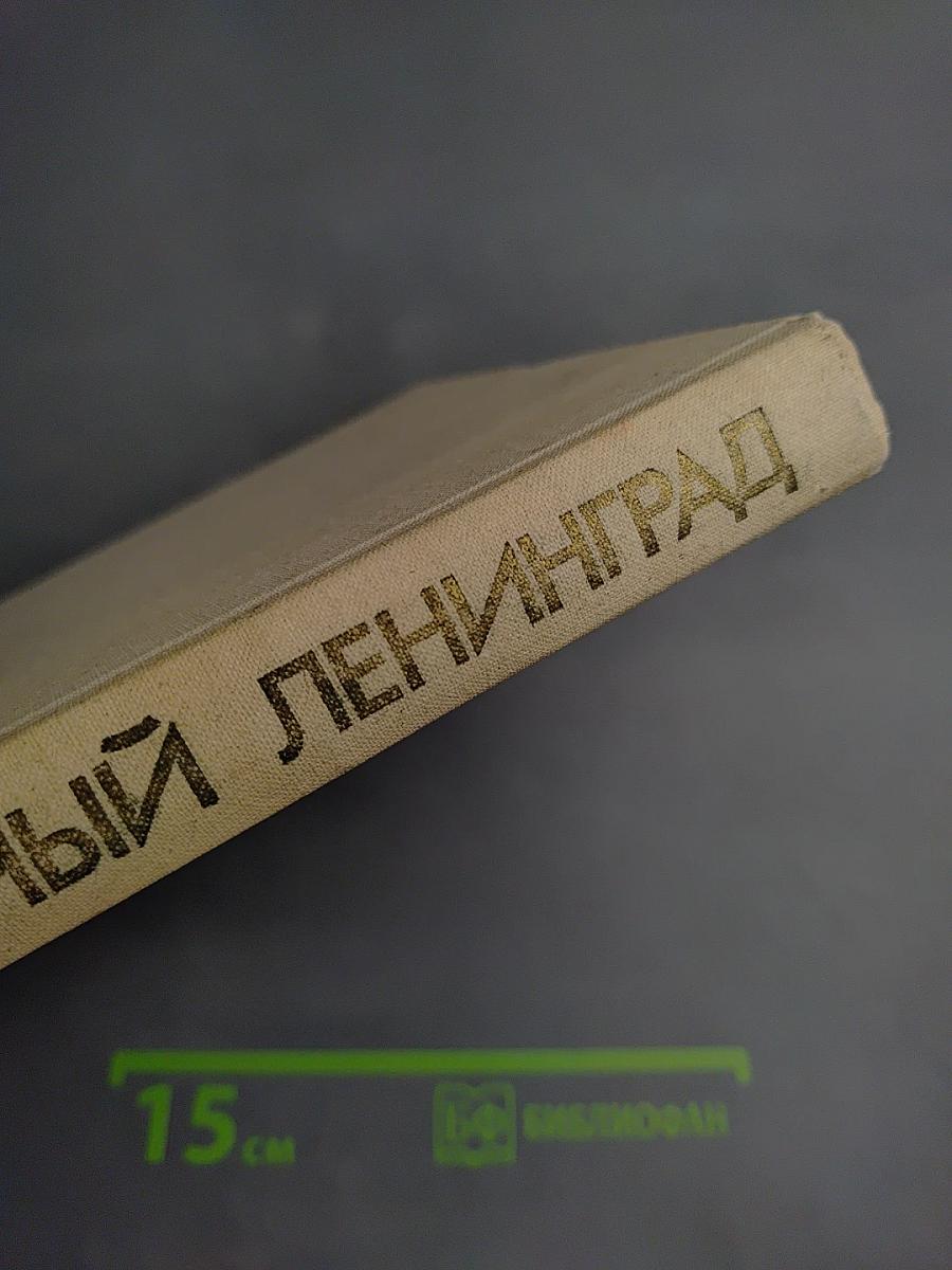 Непокоренный Ленинград. Краткий очерк истории города в период Великой Отечественной войны