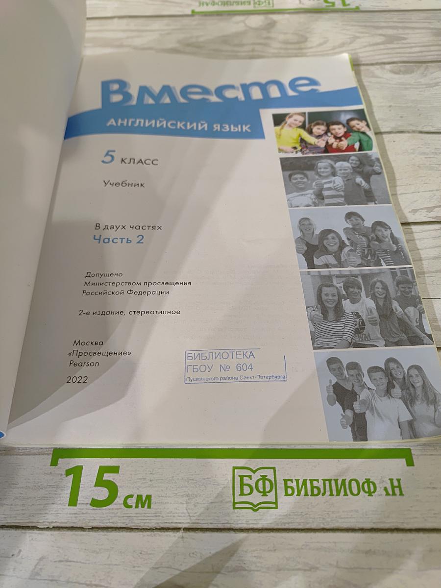 Team Up! Английский язык. 5 класс. Часть 2