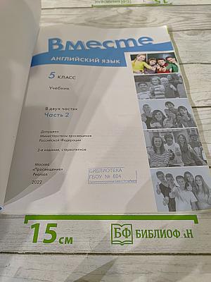 Team Up! Английский язык. 5 класс. Часть 2