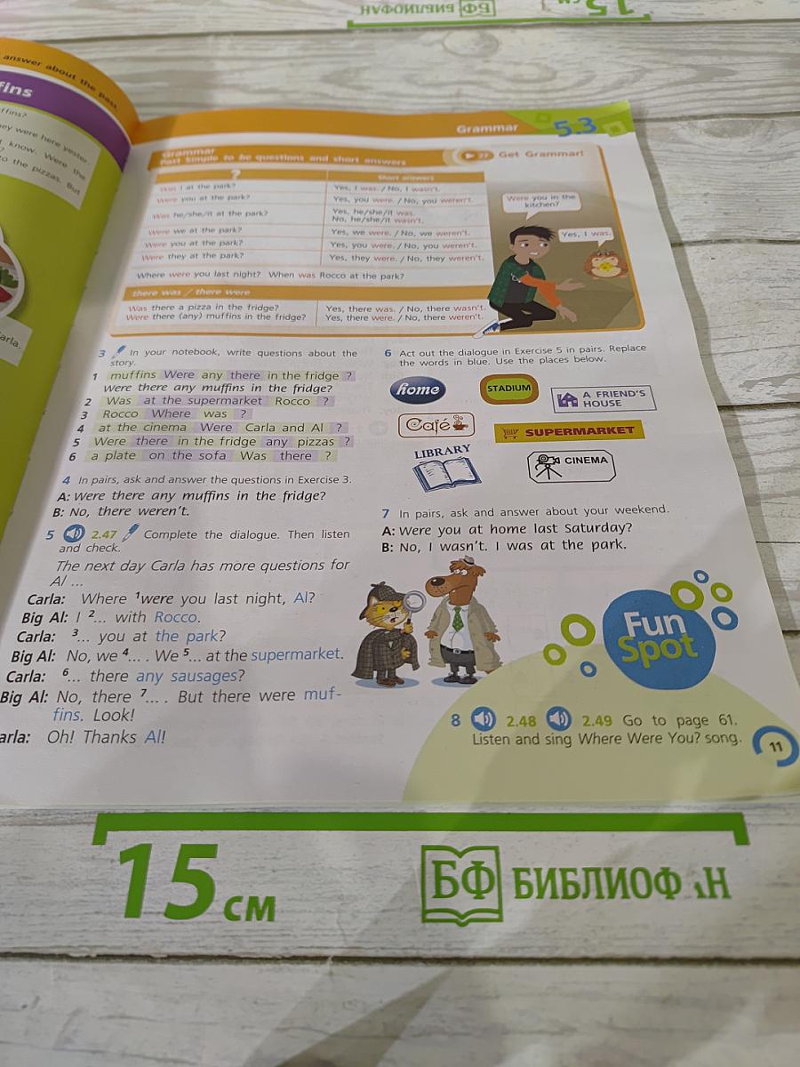Team Up! Английский язык. 5 класс. Часть 2