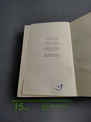 Необыкновенное лето (Том пятый)