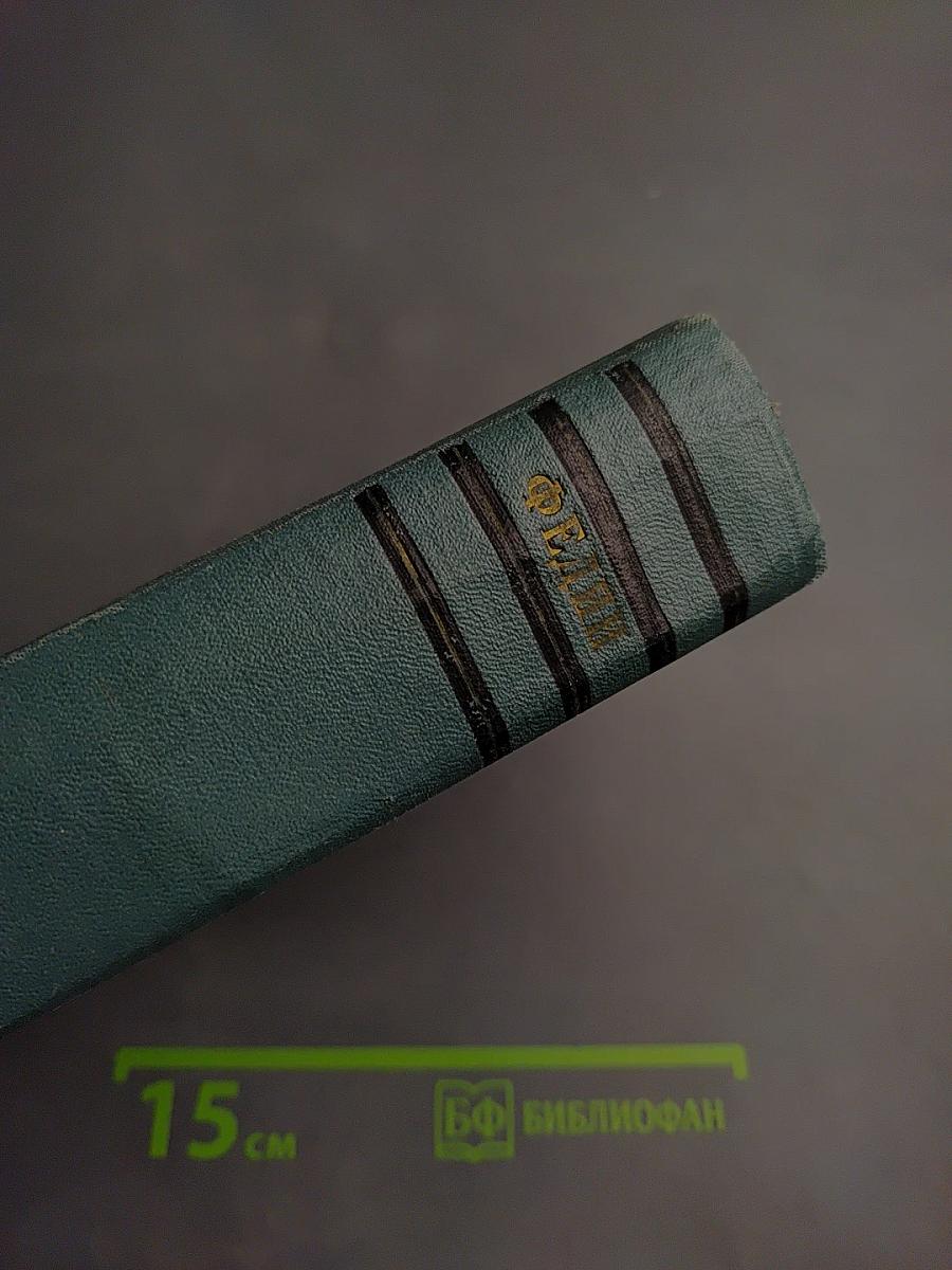 Необыкновенное лето (Том пятый)