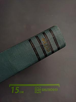 Необыкновенное лето (Том пятый)