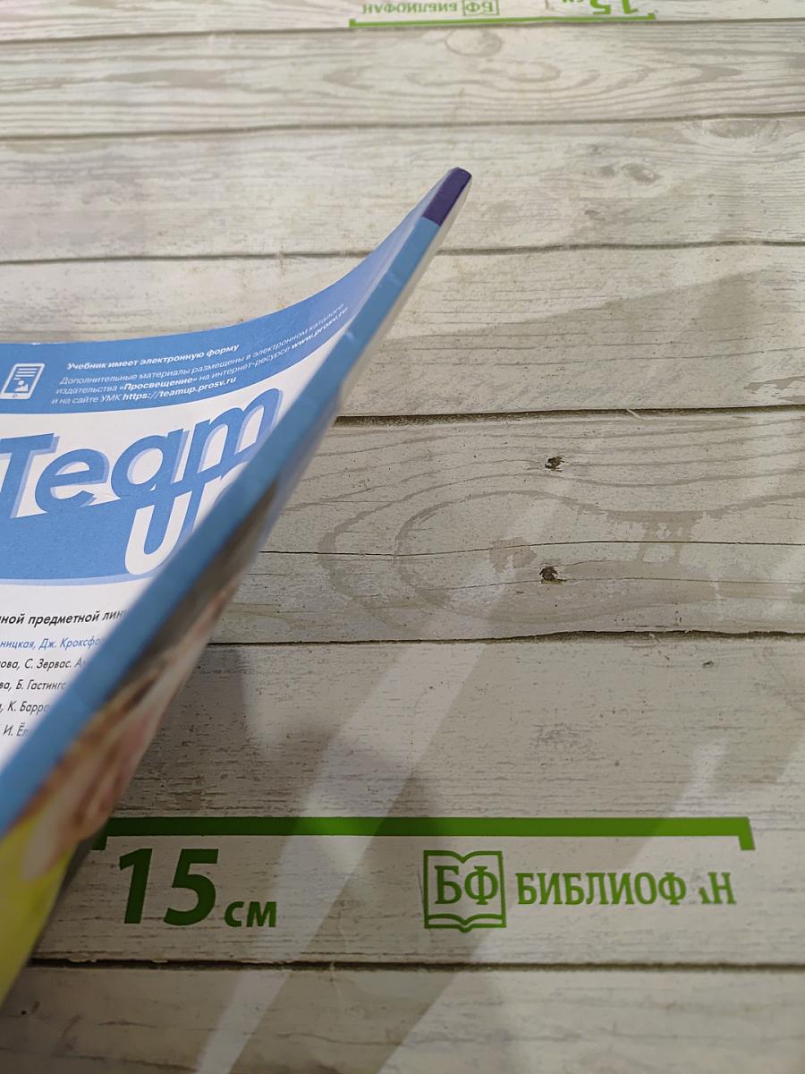 Team Up! Английский язык. 5 класс. Часть 2