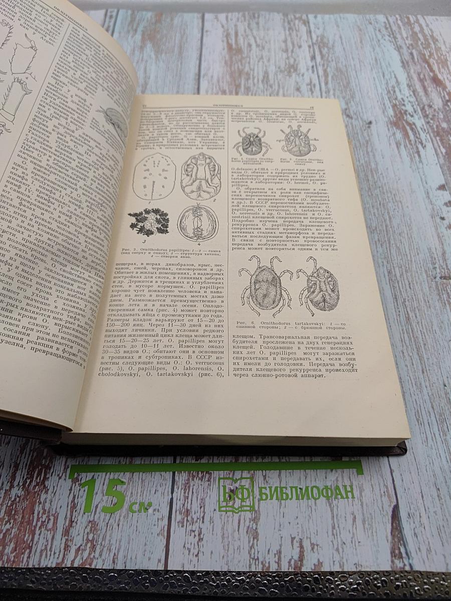 Большая медицинская энциклопедия. Том 22. Органотропия - Панкреатин