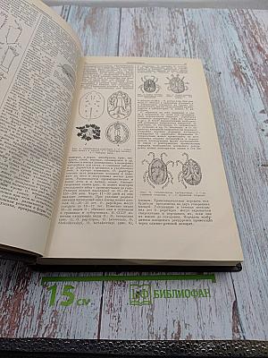 Большая медицинская энциклопедия. Том 22. Органотропия - Панкреатин