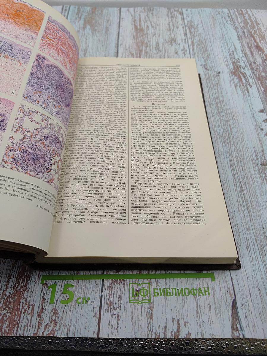 Большая медицинская энциклопедия. Том 22. Органотропия - Панкреатин