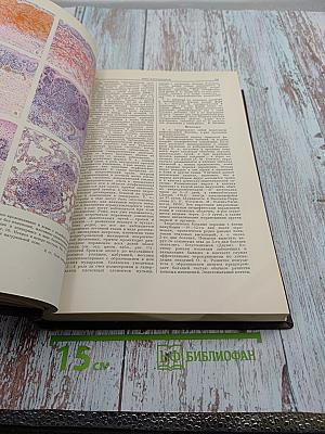 Большая медицинская энциклопедия. Том 22. Органотропия - Панкреатин
