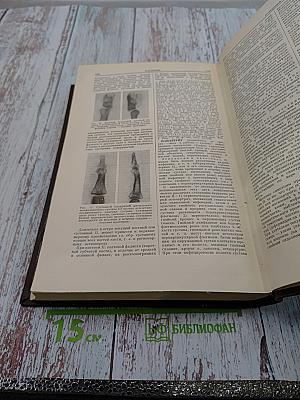 Большая медицинская энциклопедия. Том 22. Органотропия - Панкреатин