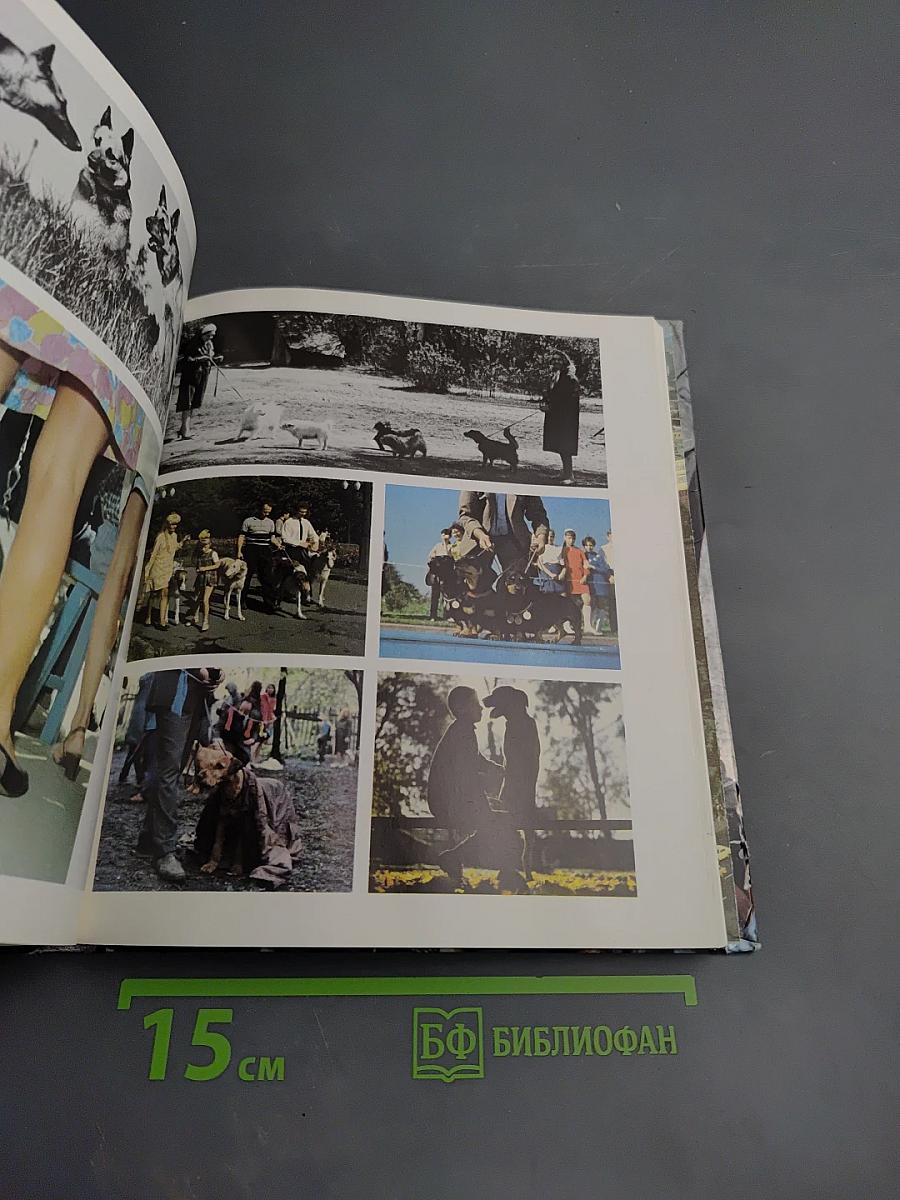 Москва и Москвичи