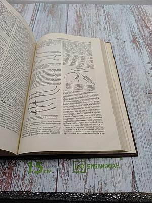 Большая медицинская энциклопедия. Том 4