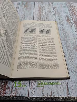 Большая медицинская энциклопедия. Том 4