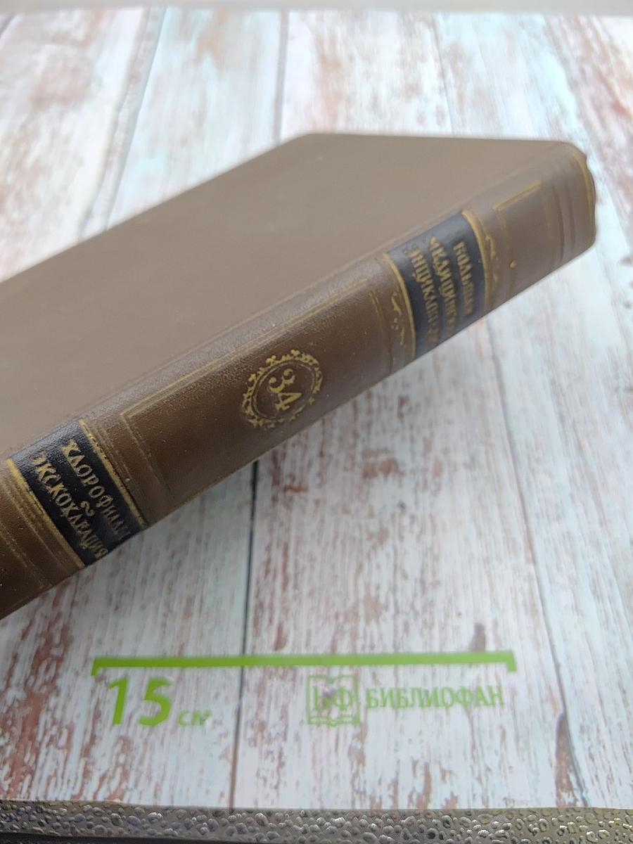 Большая медицинская энциклопедия. Том 34: Хлорофиллы - Экскохлеация