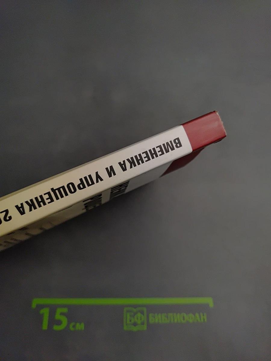 Вмененка и упрощенка 2009. Практическое руководство
