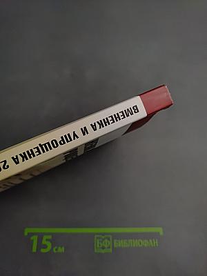 Вмененка и упрощенка 2009. Практическое руководство