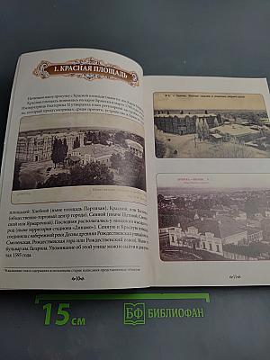 Брянск. Путешествие в глубину веков. Альбом-путеводитель