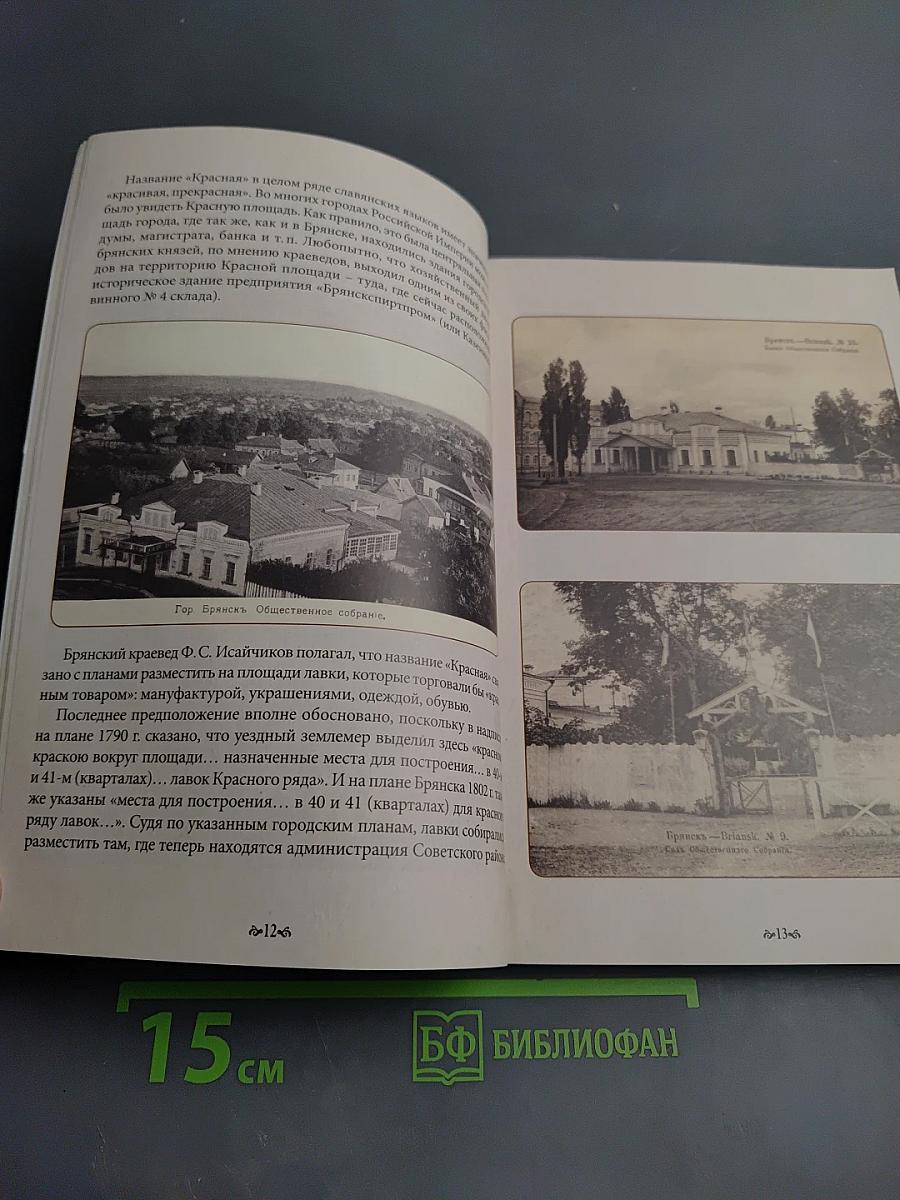 Брянск. Путешествие в глубину веков. Альбом-путеводитель