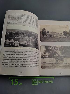 Брянск. Путешествие в глубину веков. Альбом-путеводитель