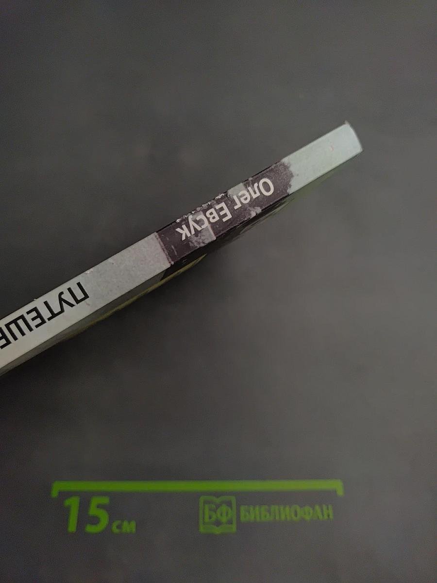 Брянск. Путешествие в глубину веков. Альбом-путеводитель