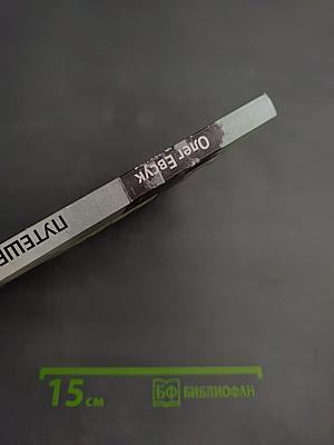 Брянск. Путешествие в глубину веков. Альбом-путеводитель