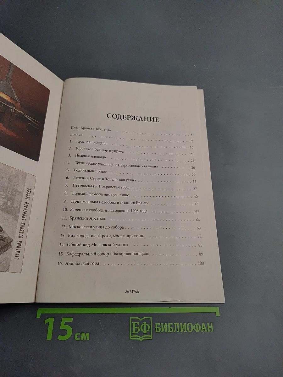 Брянск. Путешествие в глубину веков. Альбом-путеводитель